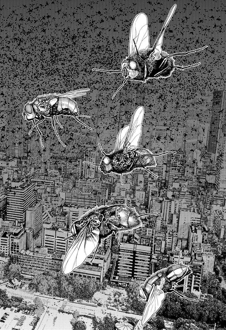 Dandadan Manga Chapter 186 page 24 - Koki Yukishiro's Power